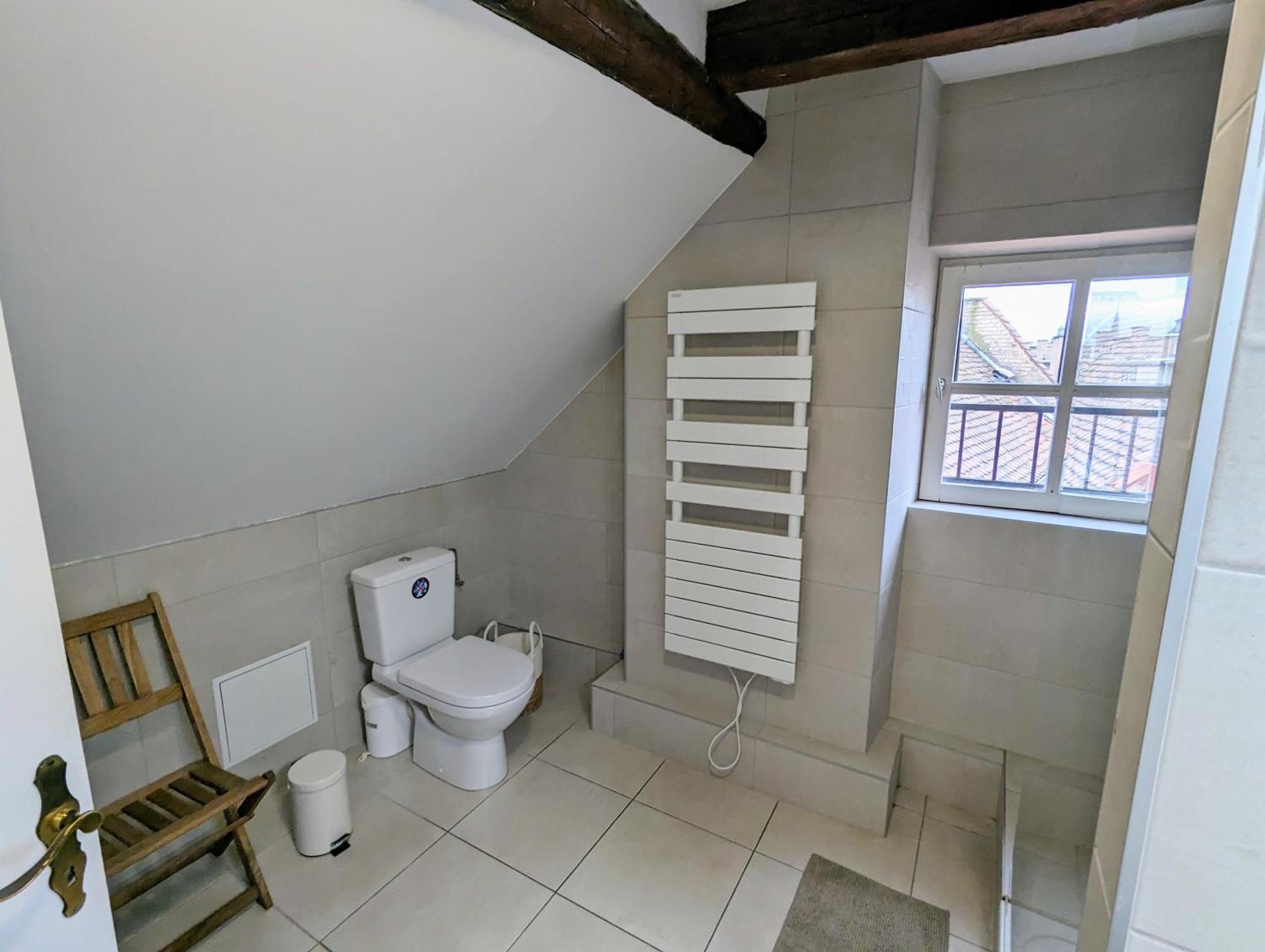 Appartement Des Serruriers Strasbourg Eksteriør billede