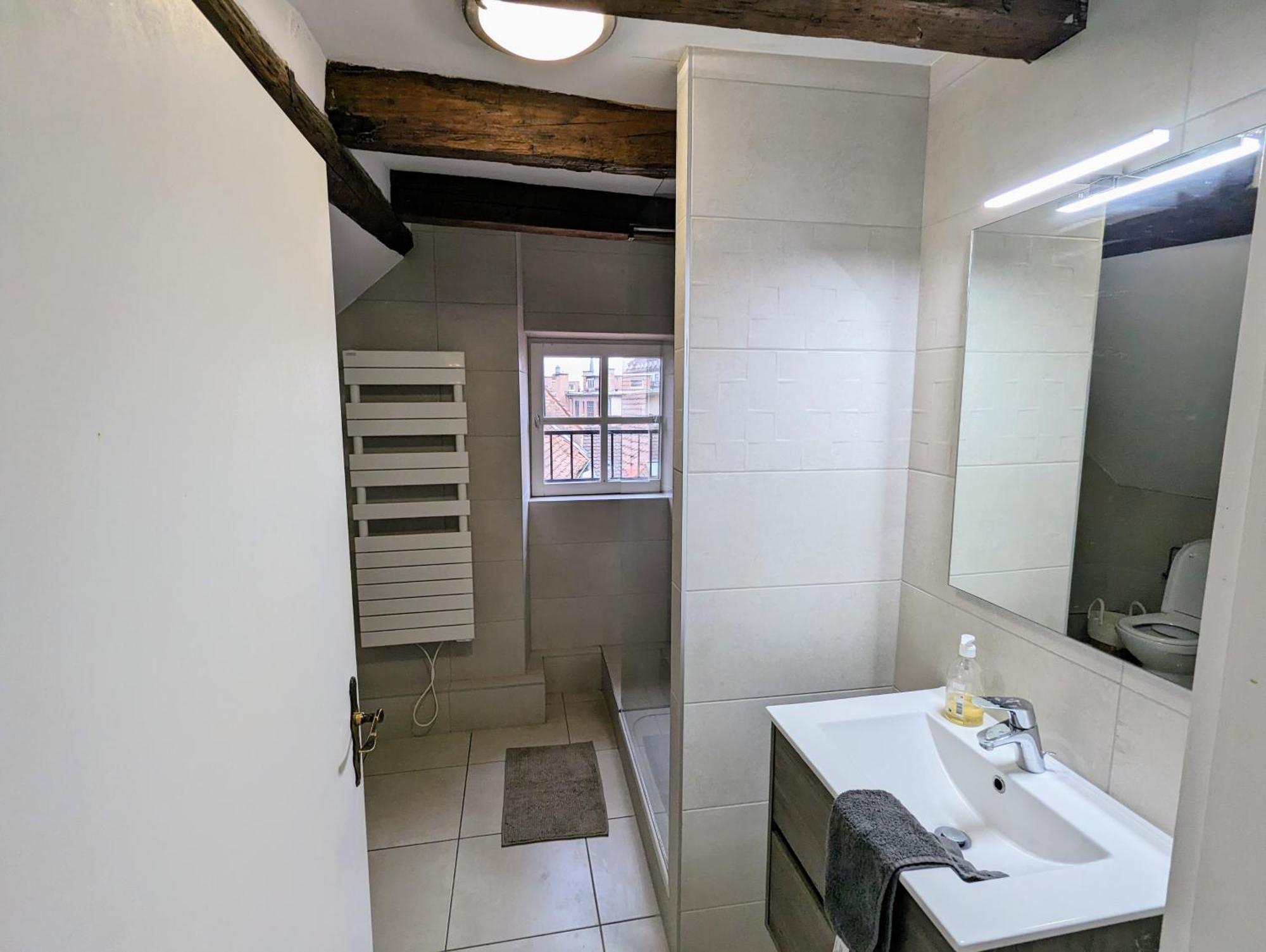 Appartement Des Serruriers Strasbourg Eksteriør billede