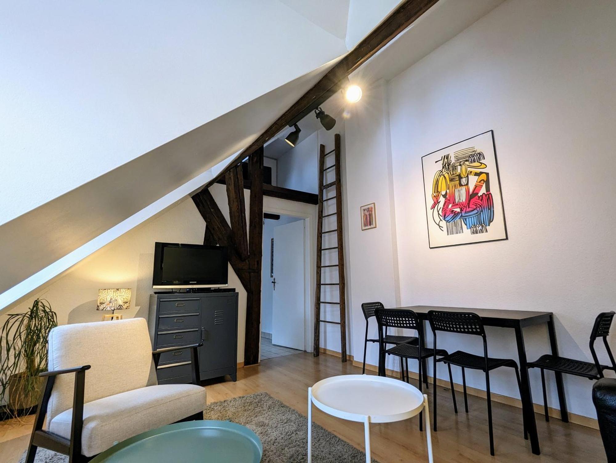Appartement Des Serruriers Strasbourg Eksteriør billede