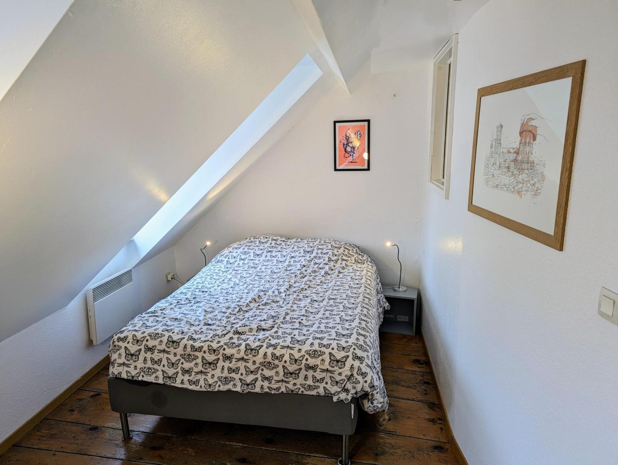 Appartement Des Serruriers Strasbourg Eksteriør billede