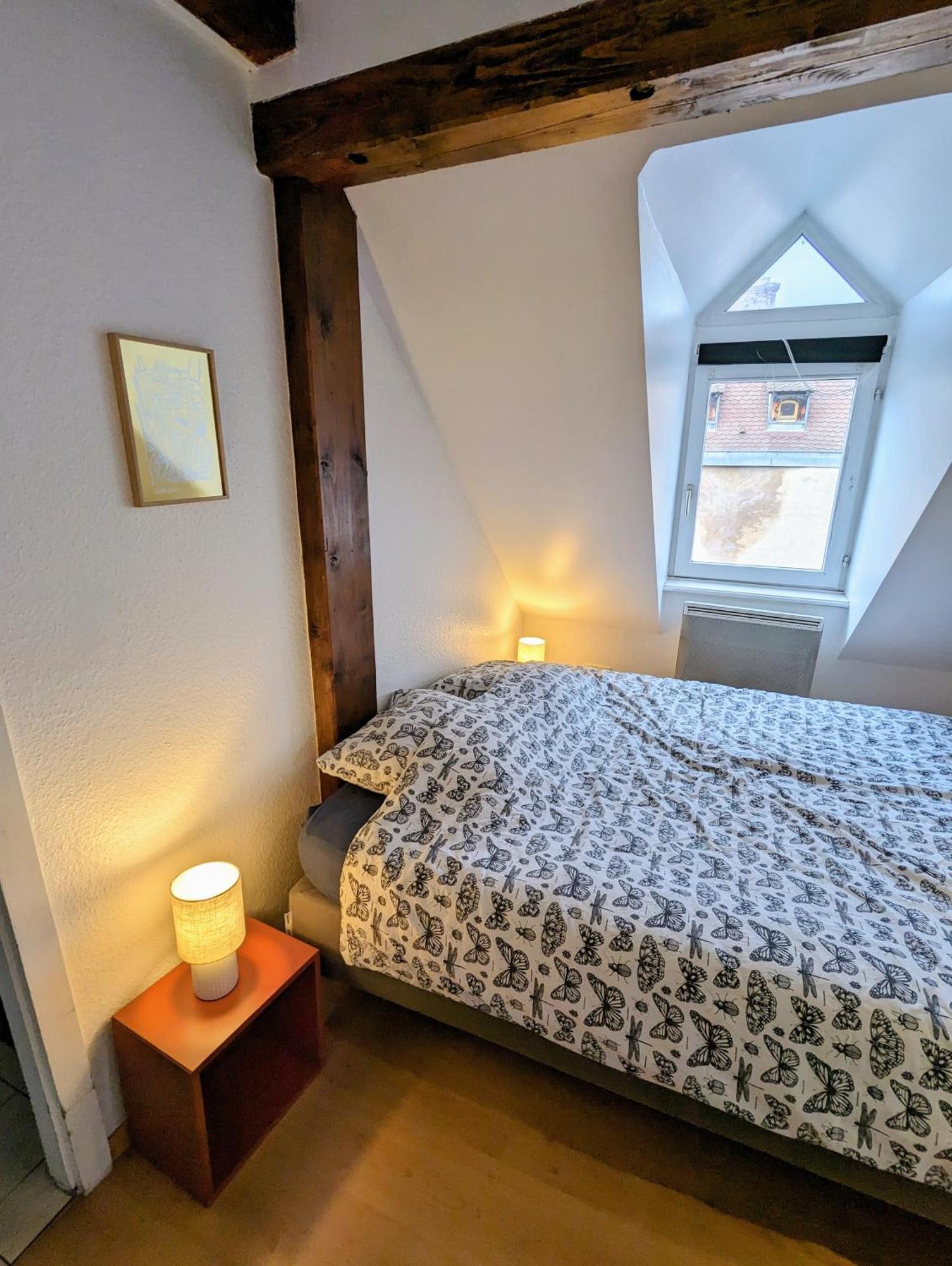 Appartement Des Serruriers Strasbourg Eksteriør billede