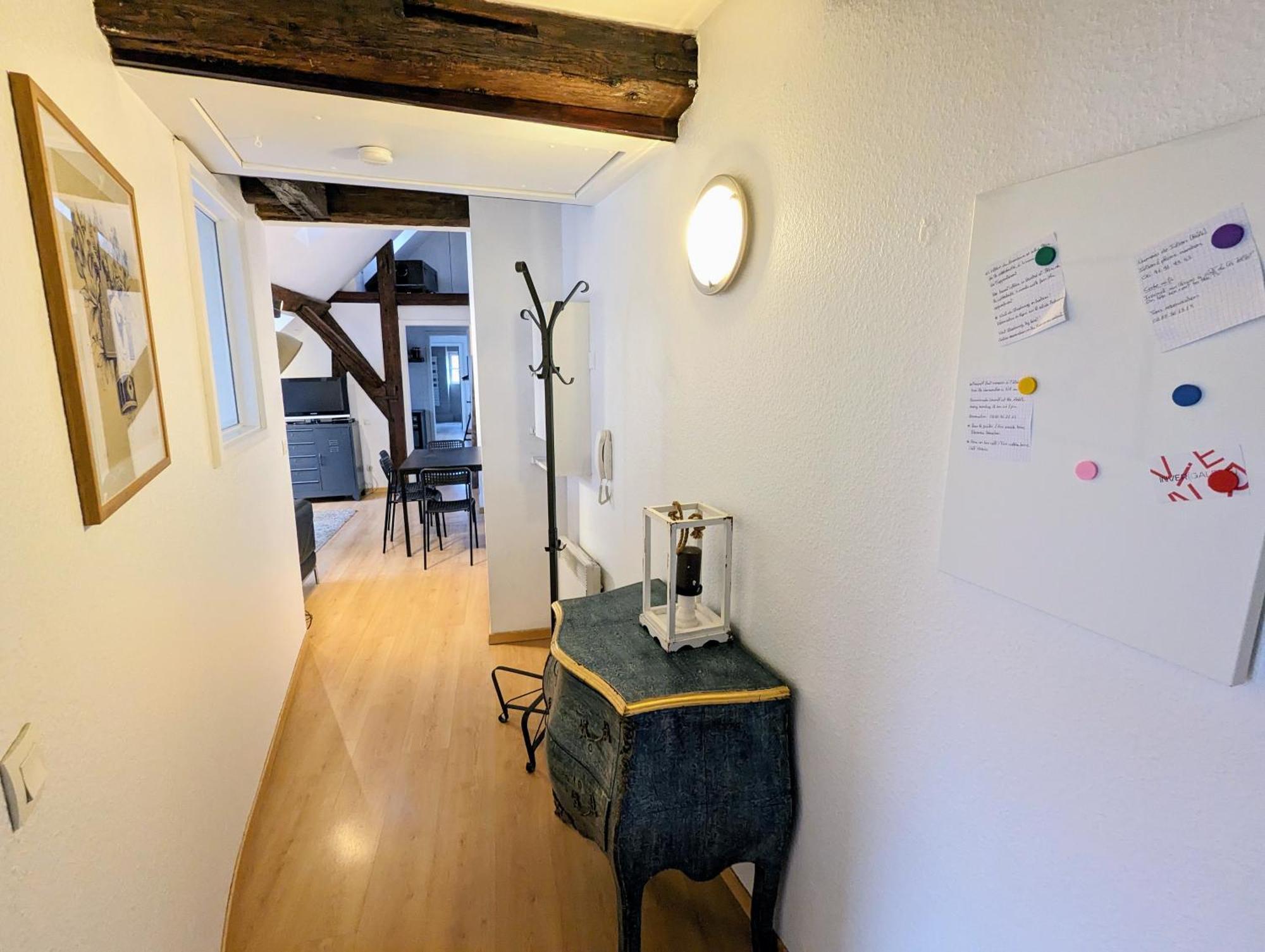 Appartement Des Serruriers Strasbourg Eksteriør billede