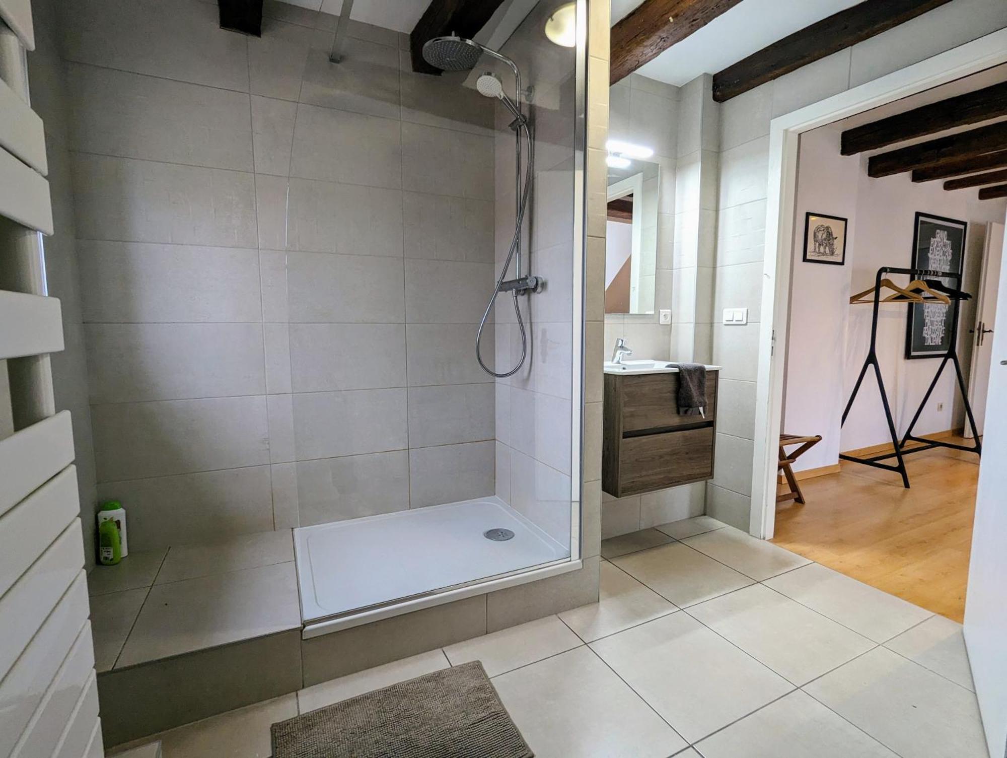 Appartement Des Serruriers Strasbourg Eksteriør billede