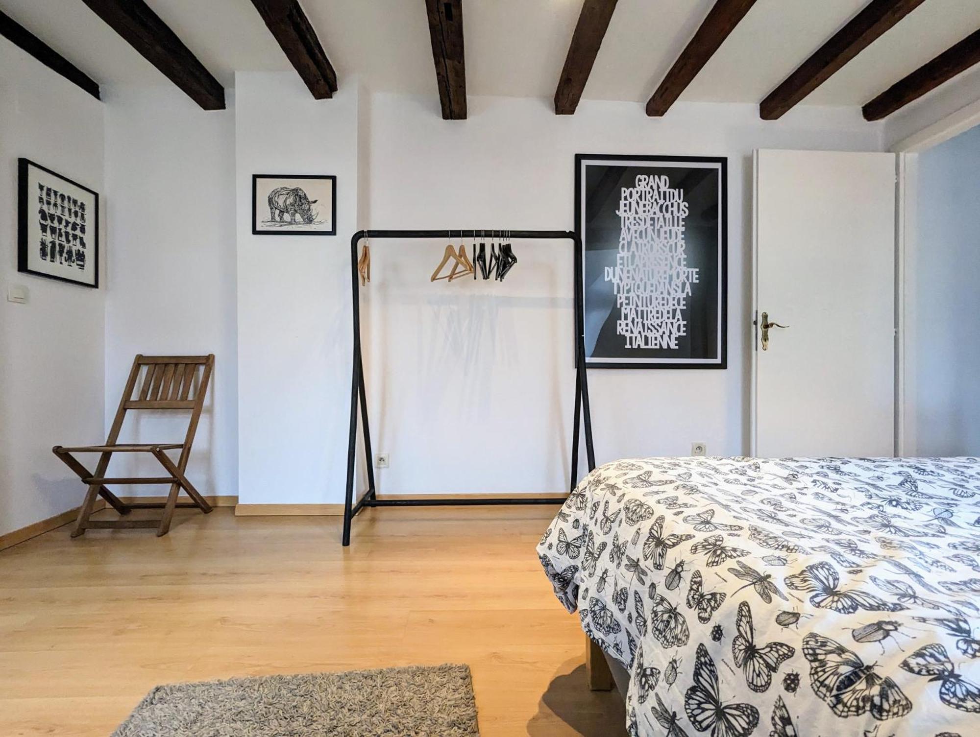 Appartement Des Serruriers Strasbourg Eksteriør billede